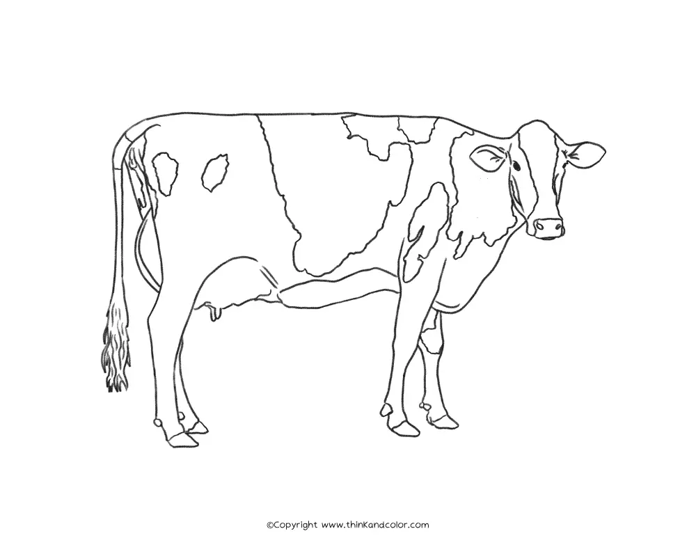 Animals Coloring Pages