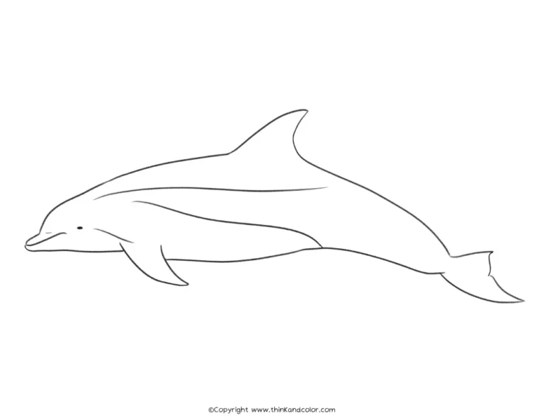 Common Bottlenose Dolphin Coloring Page (11 × 8.5 in), Dolphin Coloring Pages, marine mammal coloring pages