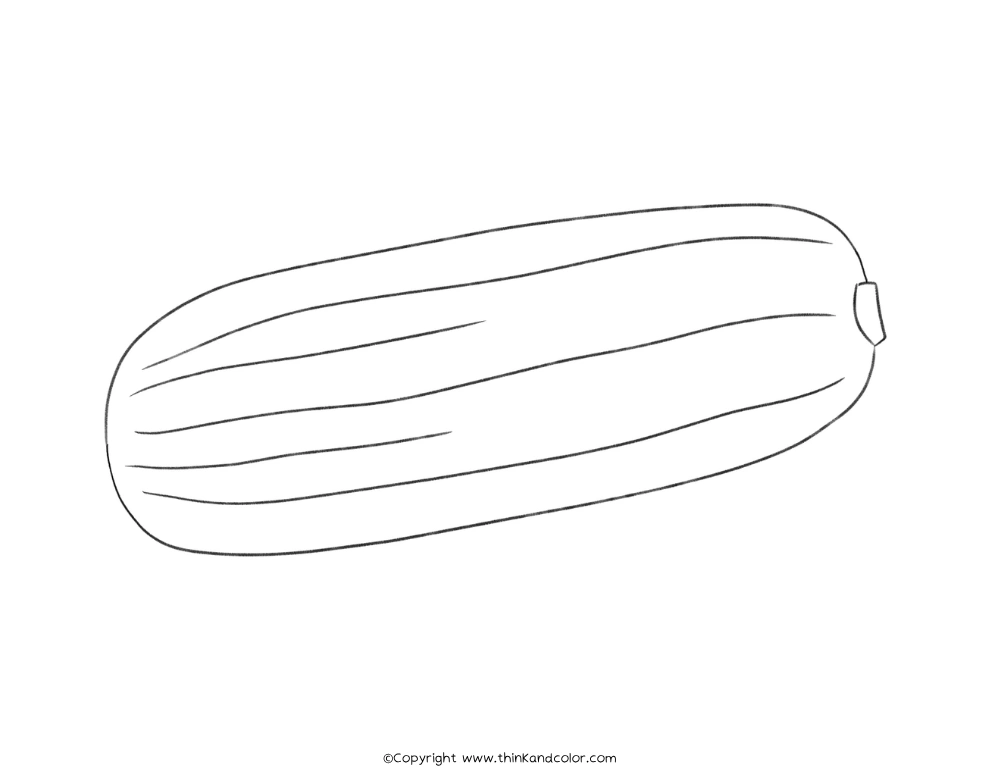 Delicata Squash Coloring Page