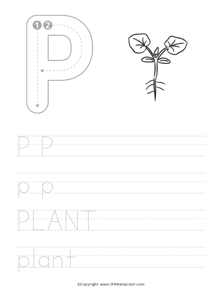P is for Plant Worksheet