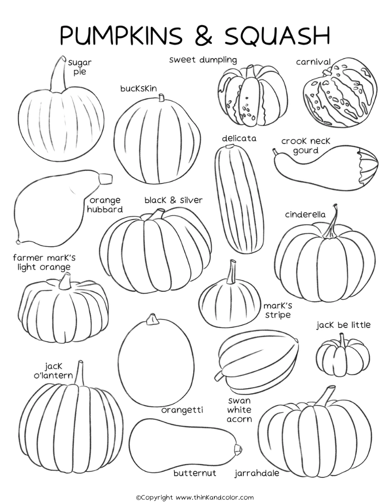 Pumpkin Types Coloring Page
