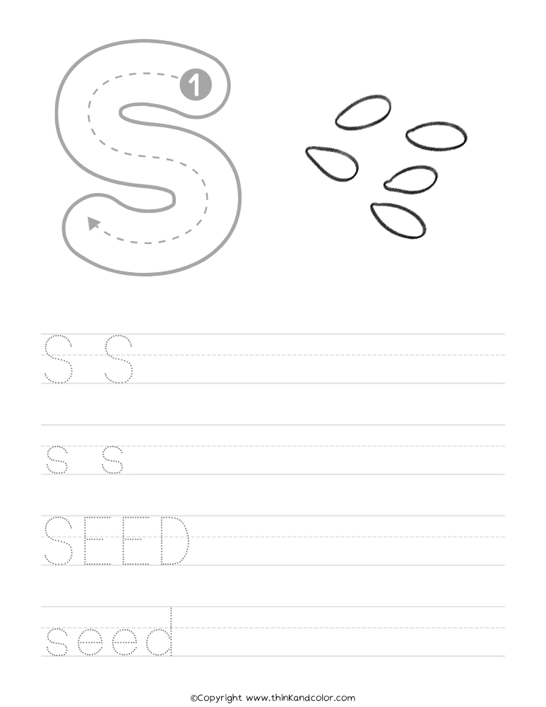 S is for Seed Worksheet