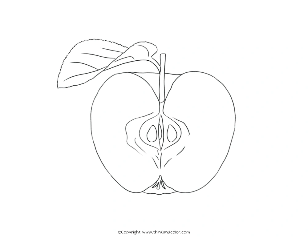 Apple Coloring Page, Fruit Coloring Pages