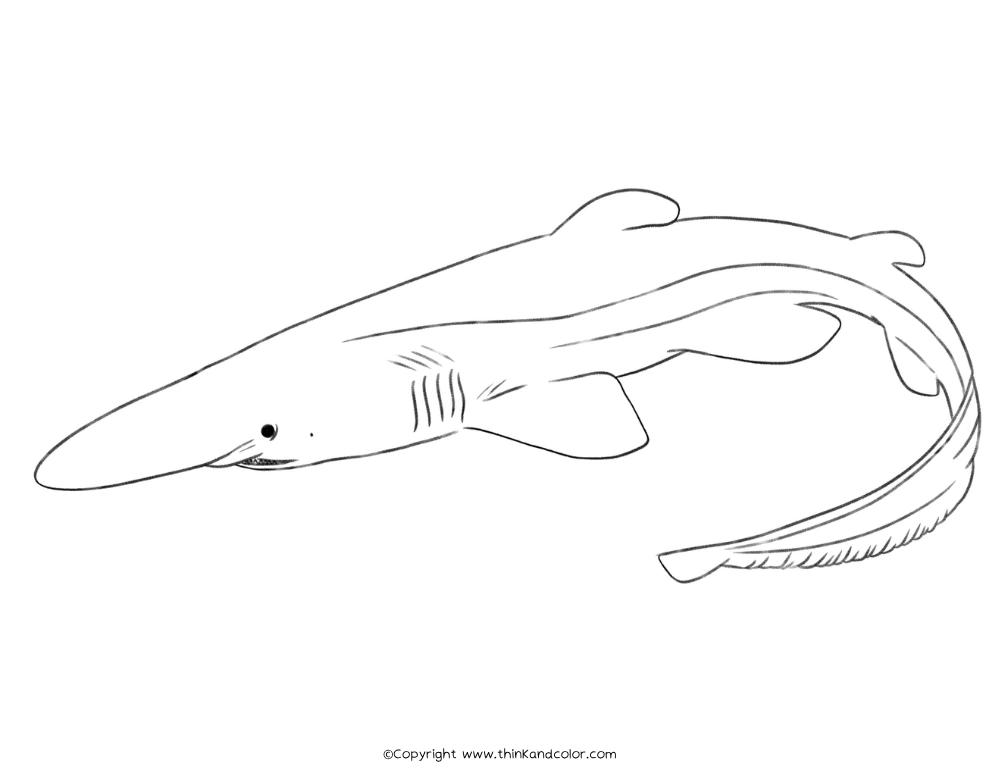 Goblin Shark Coloring Page