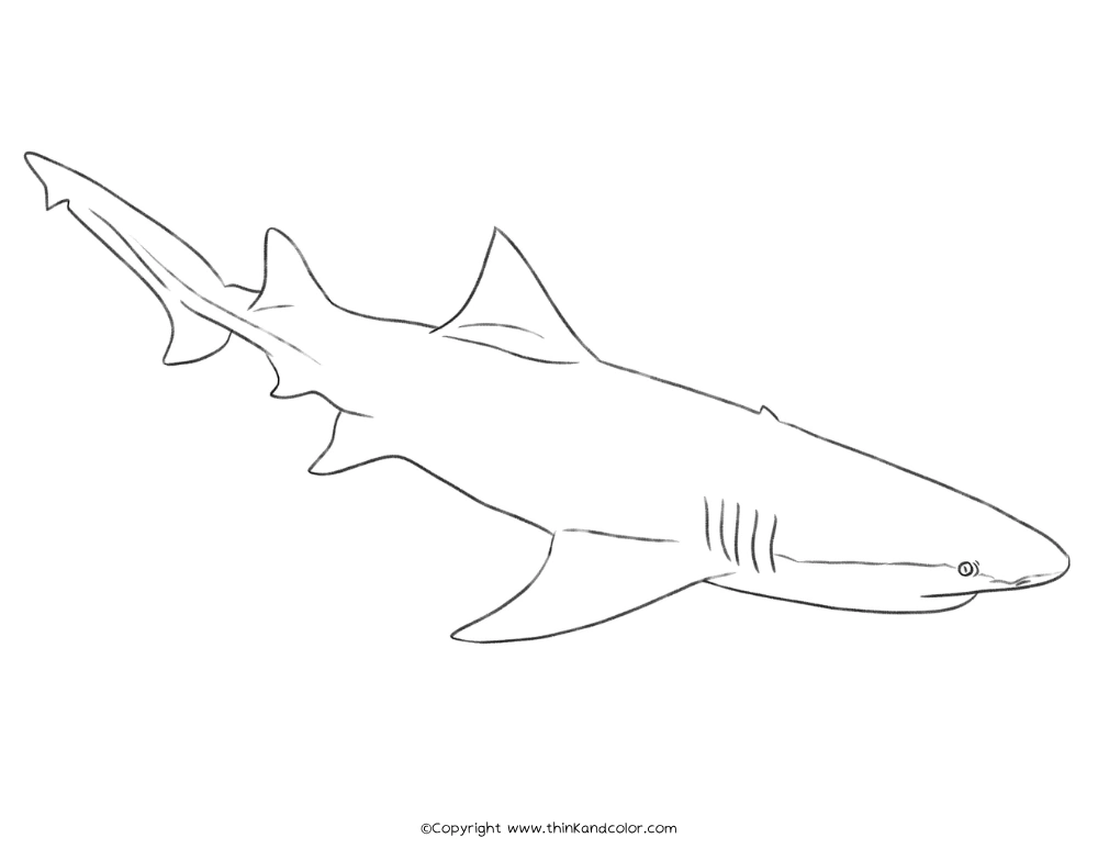 Lemon Shark Coloring Page